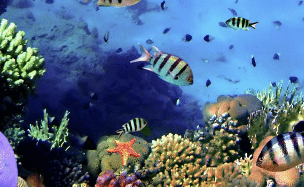 Ecosystems